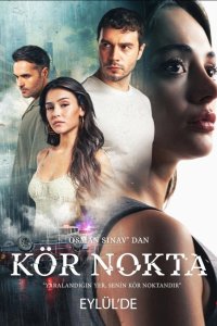 [xfnotgiven_name]Слепое пятно[/xfnotgiven_name]